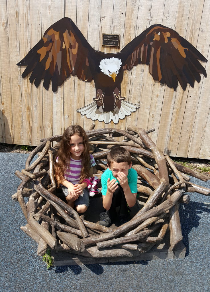 children in an eagles nest