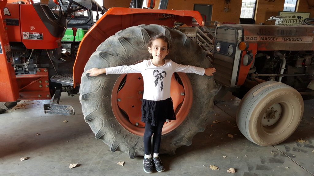 a young girl measures herself against a tractor wheel